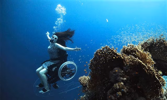 sedia-a-rotelle-subacquea