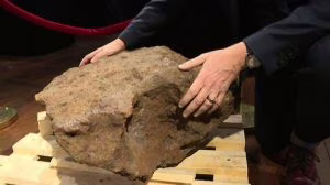 meteorite
