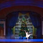 -® rosellina garbo 2019 _GRG1280