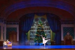 -® rosellina garbo 2019 _GRG1280