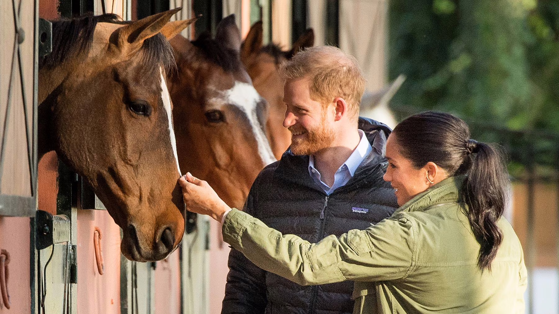 Sussex Royal Harry e Meghan