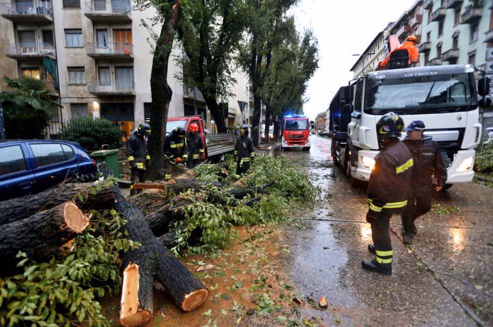 alberimaltempovigilifuoco