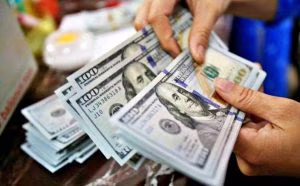 dollari