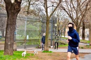 Coronavirus_Corsa_FG