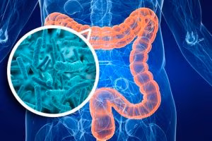 Microbioma-intestinale