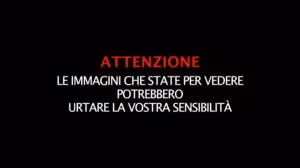 20200714_video_15211613