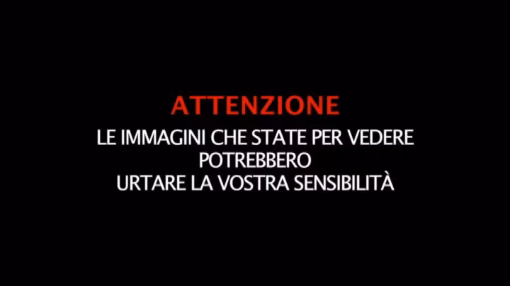 20200714_video_15211613