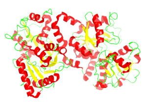 Proteina di lattoferrina