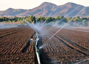 agricoltura