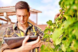 giovani agricoltori