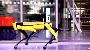canerobot