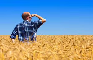 agricolturaagricola-6123020