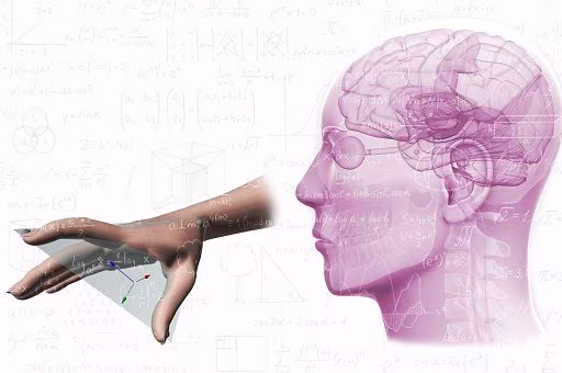 Ricerca/IIT: svelato come leggiamo e valutiamo il movimento di una persona