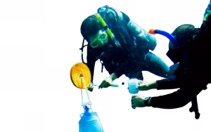 maresubfondale-removebg-preview