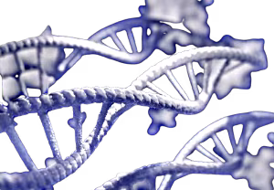 quantistica-removebg-preview