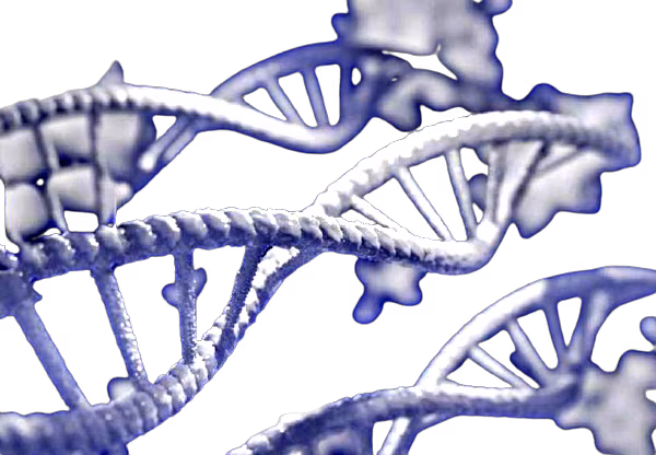 quantistica-removebg-preview