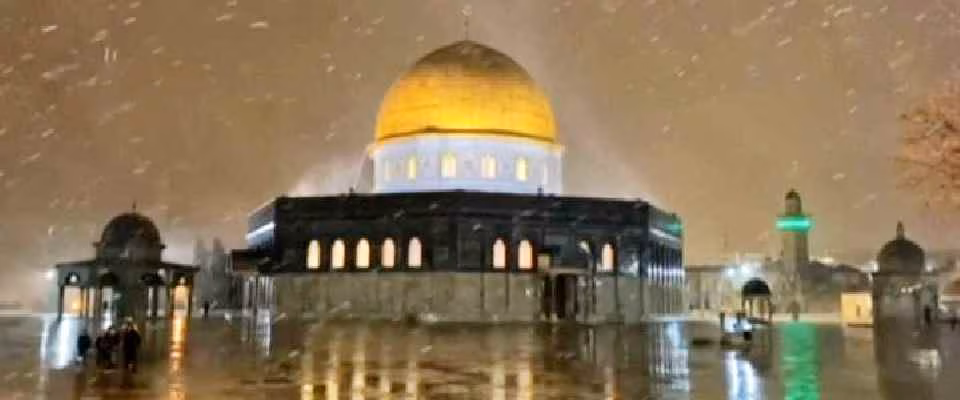 1613655117227-20210218_video_14151299