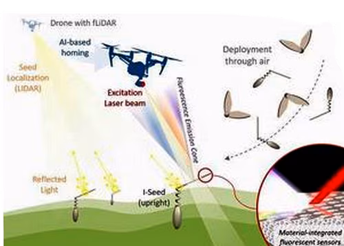Capture20210303121550-removebg-preview