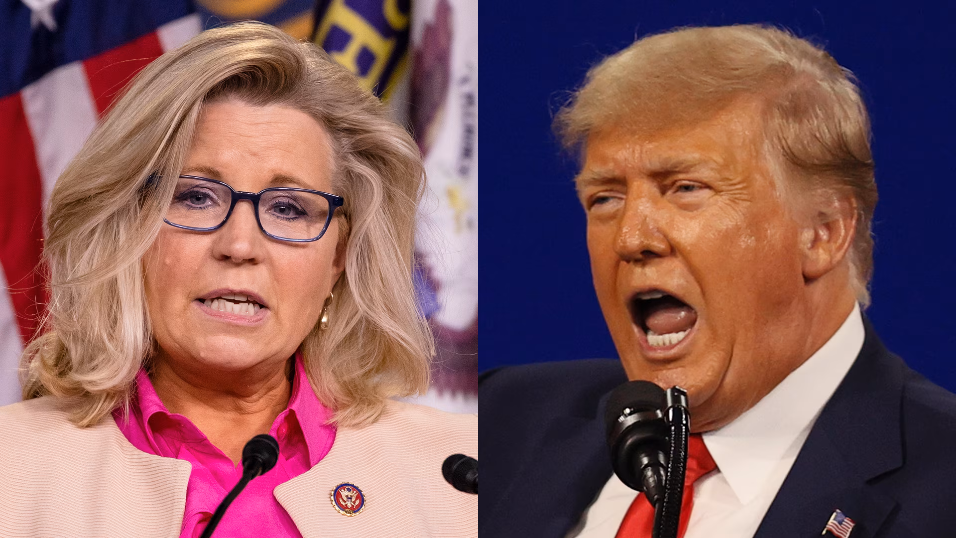 Liz Cheney e Donald Trump
