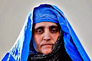 Sharbat Gula