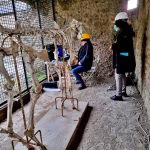 Laser Scanner 2