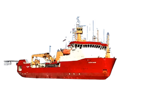 laura_bassi-6-min-removebg-preview