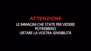 immaginiurtaresensibilità