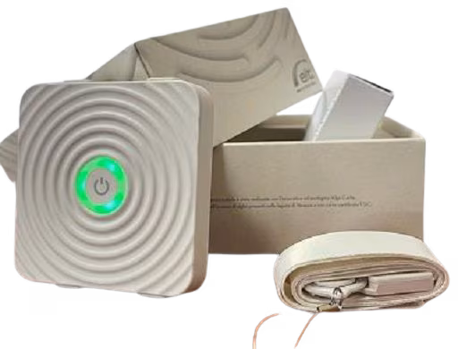 E4Shield-removebg-preview