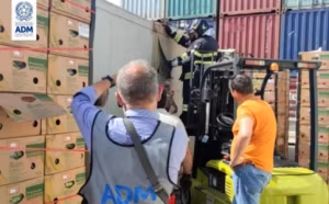 1droga-porto-catania