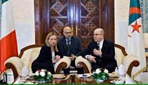 melonialgeri-modified