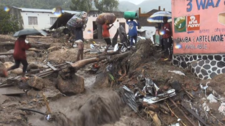 20230315_video_14382790 (1)