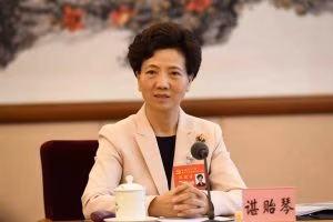 Shen Yiqin