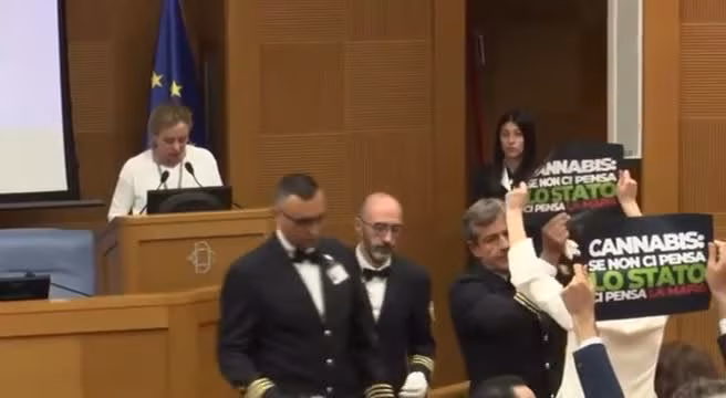 20230626_video_18074174