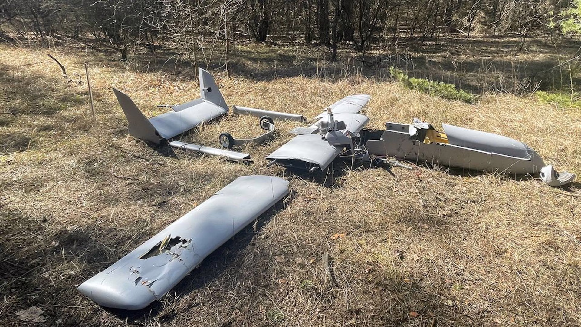 drone-ucraina