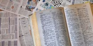 vocabolariodizionario