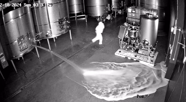 Immagine 2024-02-20 195135_cleanup