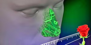NASO-ELETTRONICO-970x485