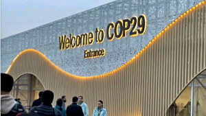 cop29_cleanup