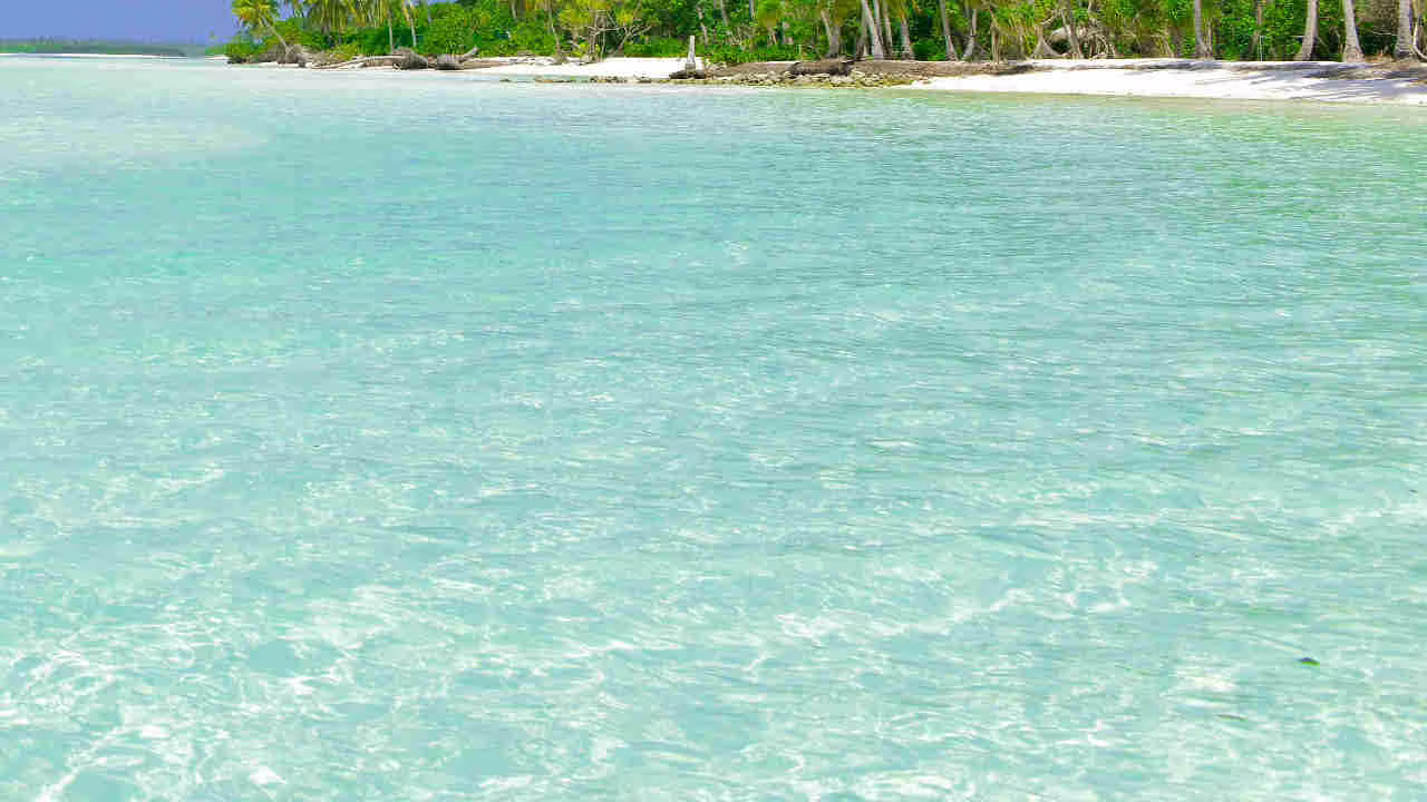 La chiamano “Il rifugio degli Dei”: è una caletta ancora mezza sconosciuta ed è a fianco alla spiaggia più famosa della Sicilia | Ci vanno in pochissimi e si rilassano alla grande