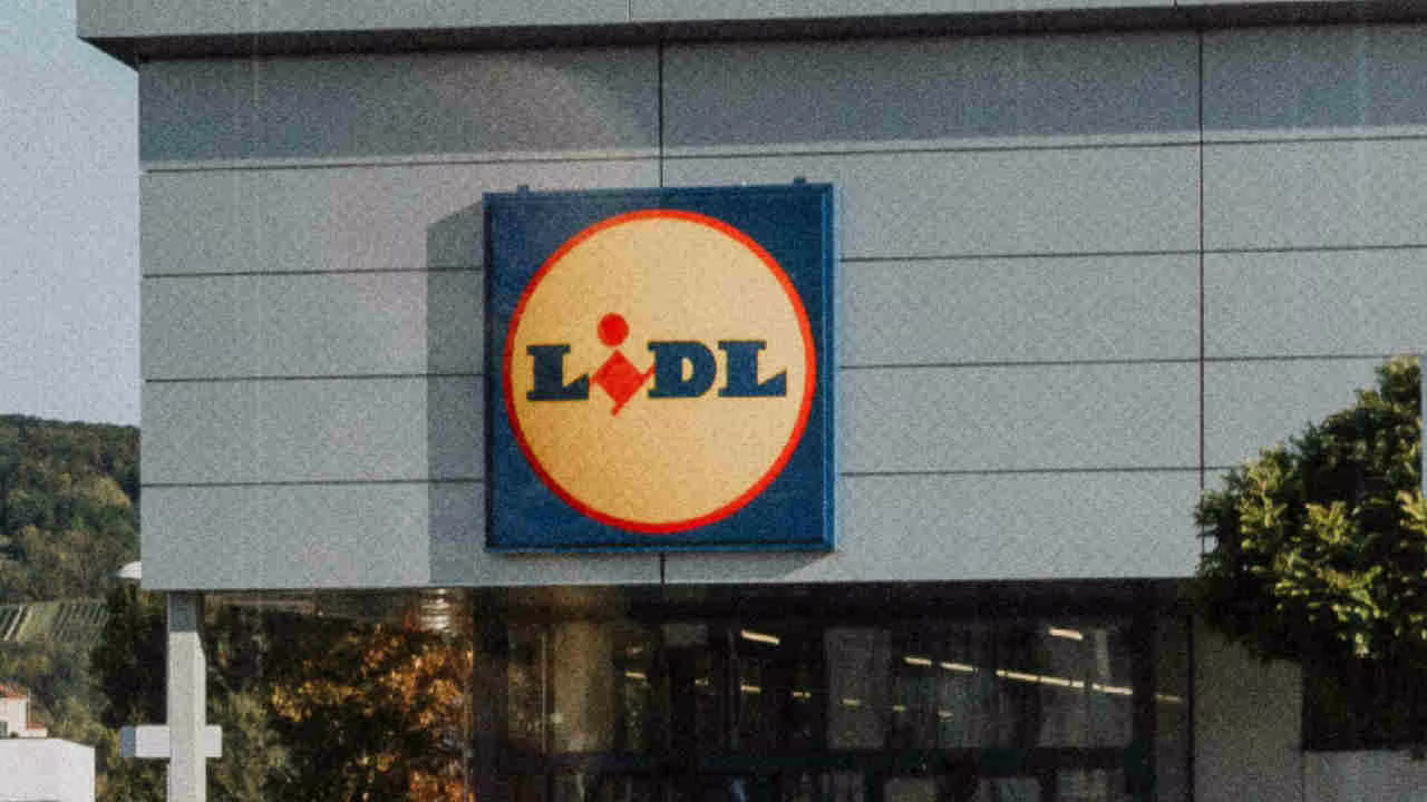 1199 8364 e al lidl ti assicuri la sicurezza in auto al 100 su amazon costa 39998364 a questo prezzo si deve comprare assolutamente