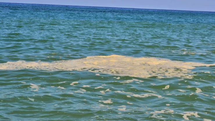 Mare inquinato - (pexels) - IlFogliettone.it