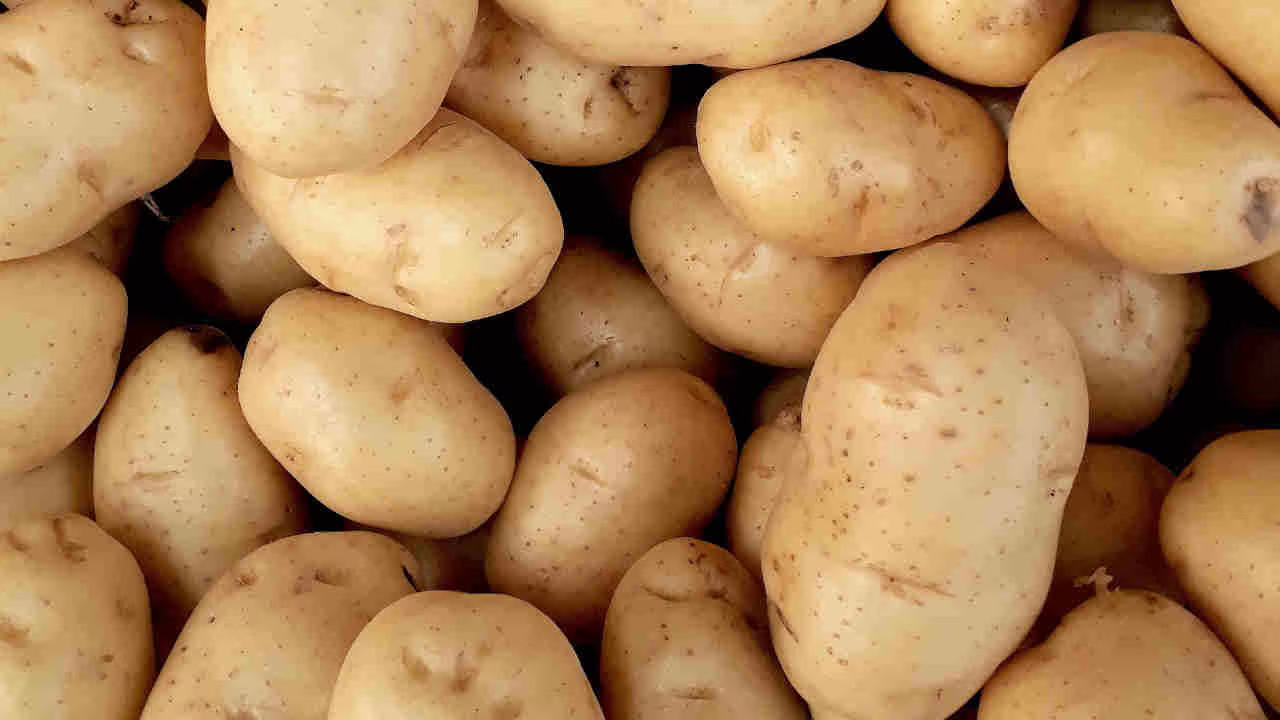 Patate, conservale accanto a questo frutto: durano una vita e non si rovinano mai | Freschezza e bontà ogni giorno