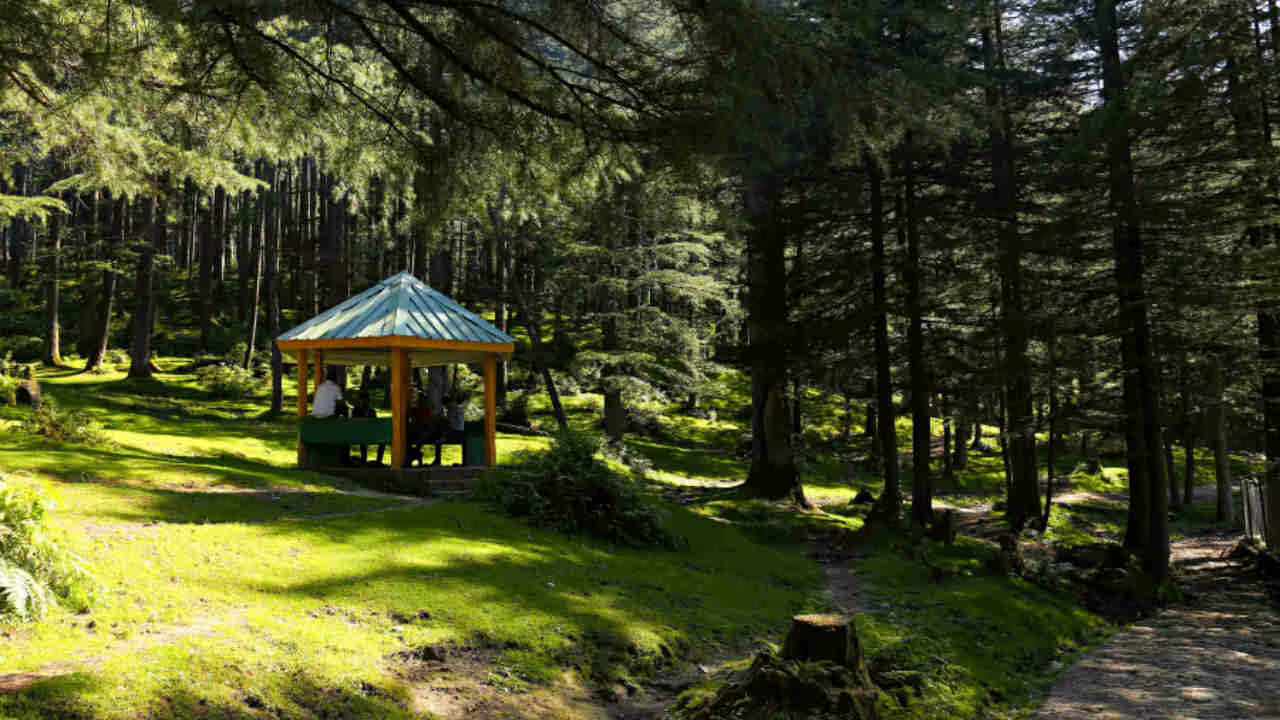 togli via quel gazebo dal tuo giardino pazzesco ma tutto vero pu242 costringere il vicino a smantellarlo se ti infastidisce i hai pure diritto al risarcimento