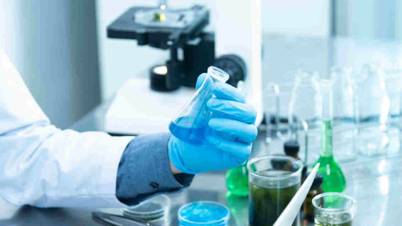 EPIDEMIA Chikungunya: emergenza sanitaria in corso I Diffusione in Italia, l’OMS: “rischio globale”