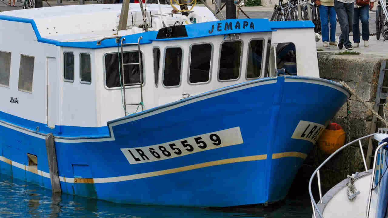 Strage in mare in Italia: sta succedendo davanti ai nostri occhi proprio ORA I Turisti sotto choc, pescherecci in crisi, estate rovinata