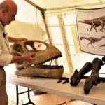 dinosauro (1)