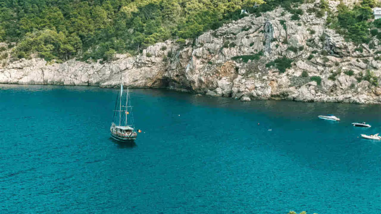 guarda quanto ho speso a ibiza 8217ticket online8217 l8217italiana crea il precedente mostrando tutto i ecco quanto costa un lettino l236