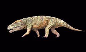 Kostensuchus atrox (1)