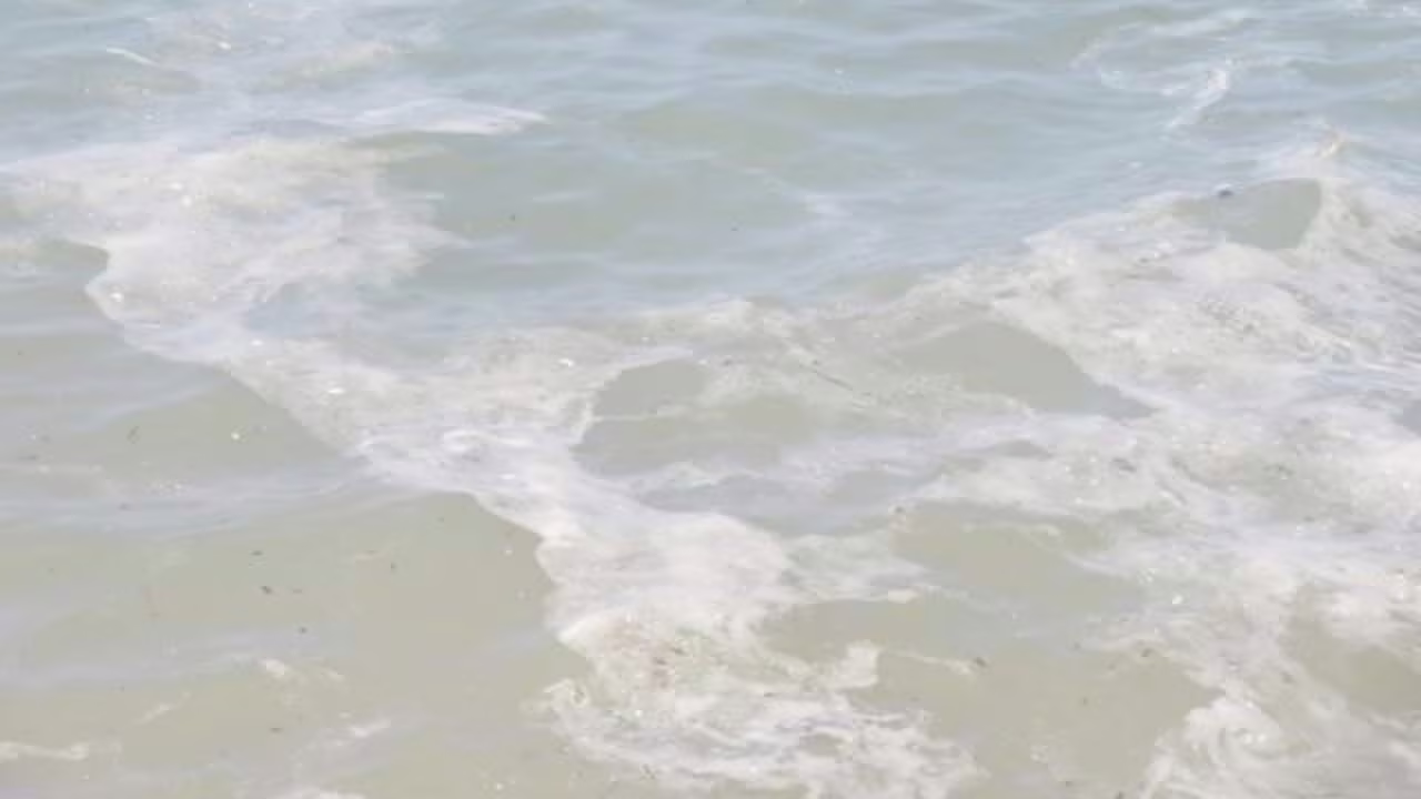 CAMPANIA OFF LIMITS: allarme salute, TI VIENE IL CANCRO se fai il bagno in queste acque I Malattia rapida e lancinante
