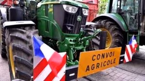 trattorisciopero_cleanup